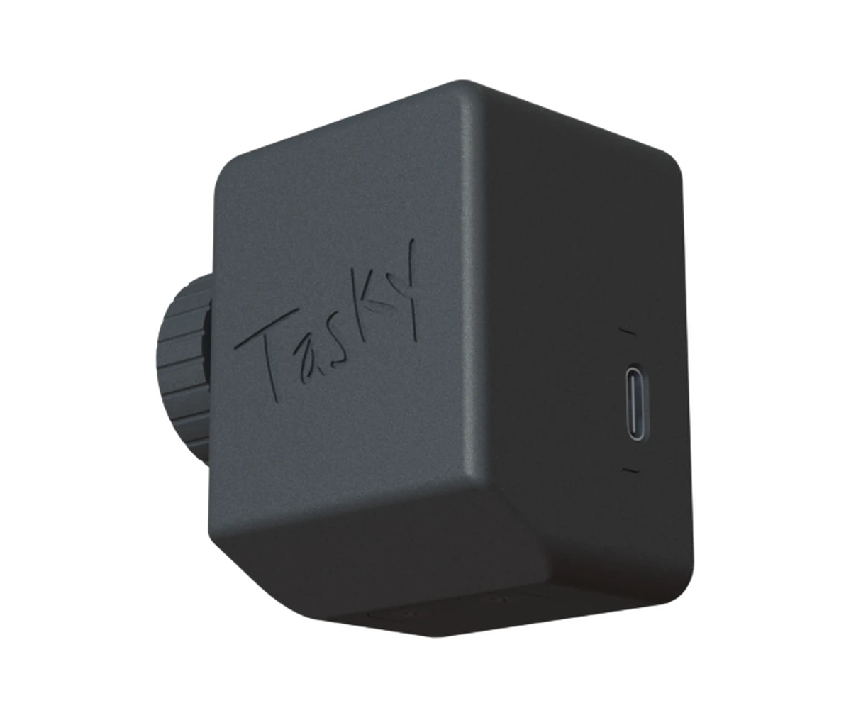 Three-quarter view of the Pomo Tasky enclosure